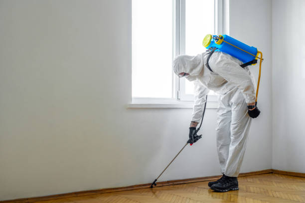 Professional Pest Control in Coal Creek, CO